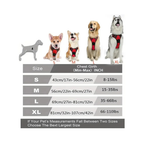 Dog Collars Harness