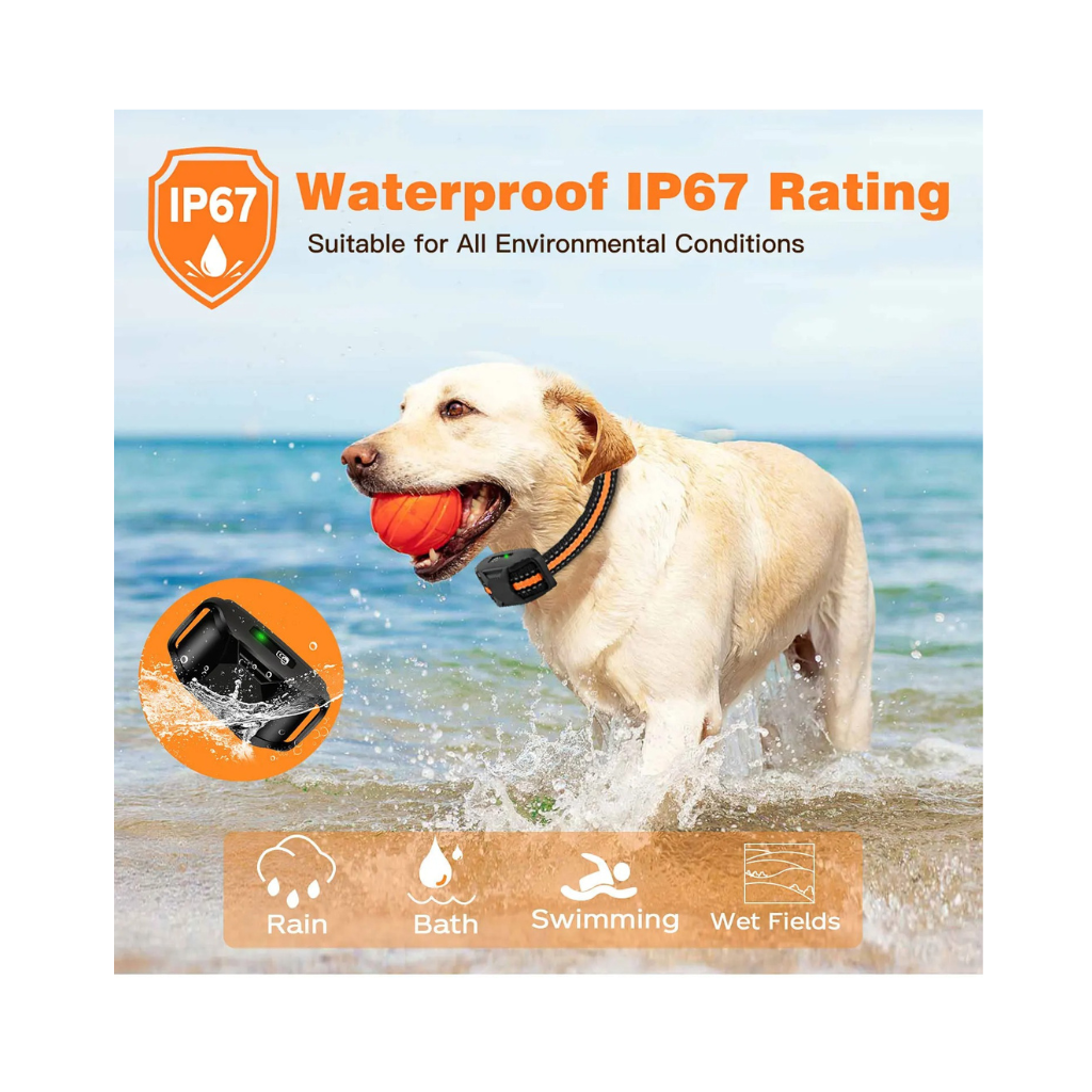 Electric Dog Training Collar