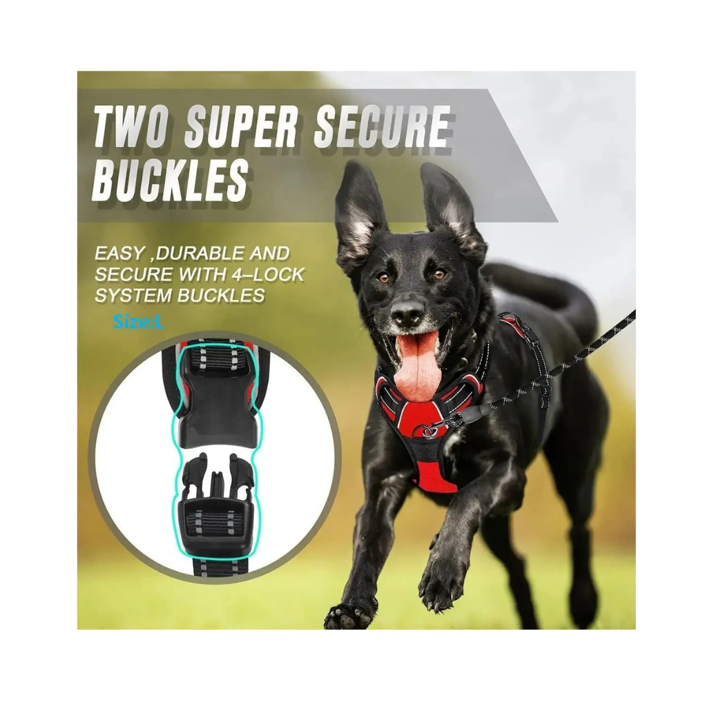 Dog Collars Harness