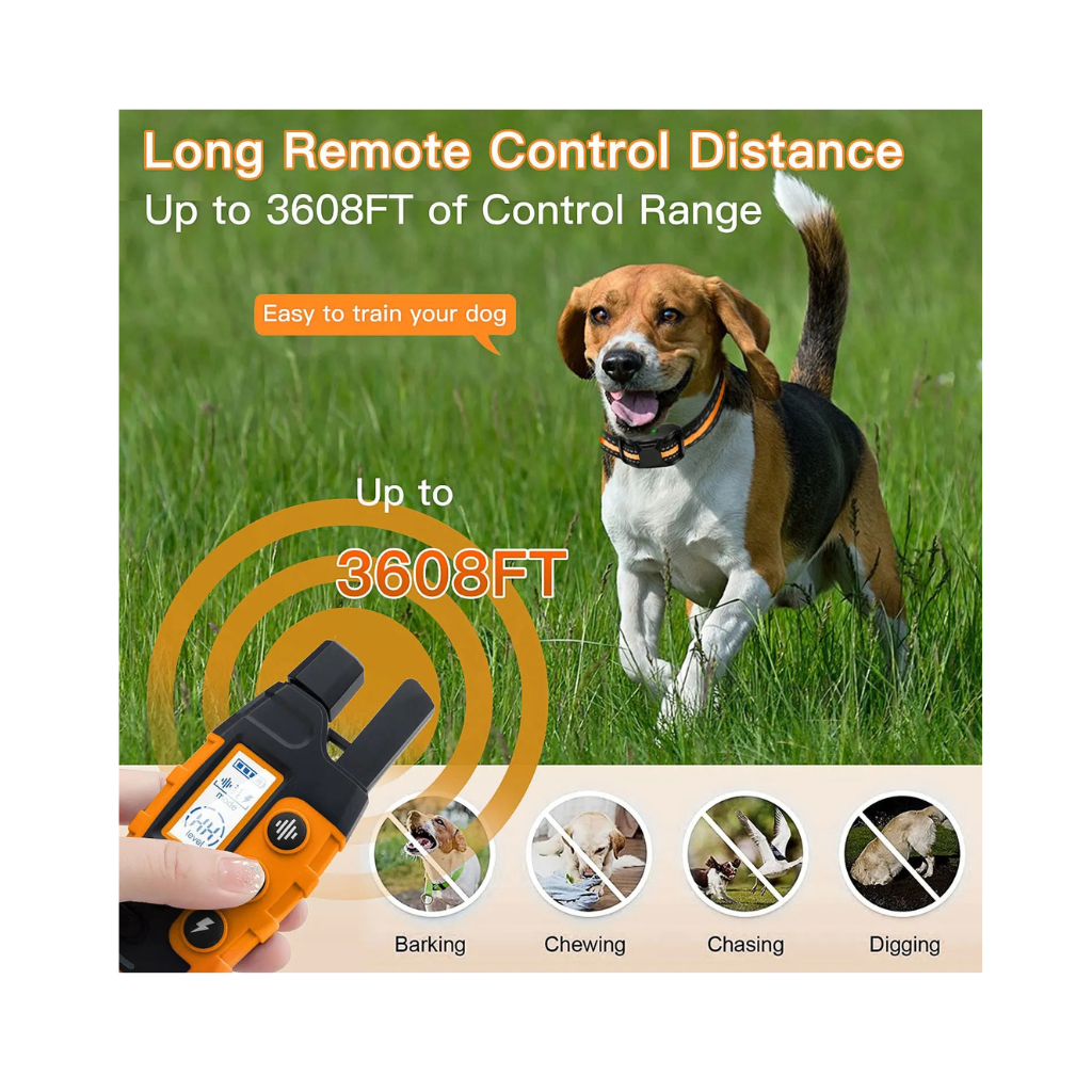 Electric Dog Training Collar