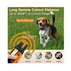 Electric Dog Training Collar