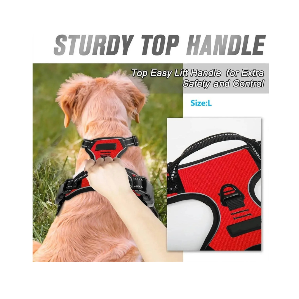 Dog Collars Harness