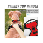 Dog Collars Harness