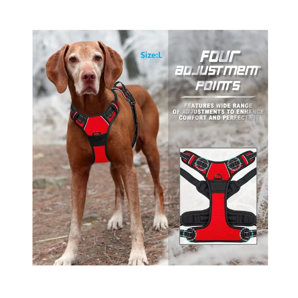 Dog Collars Harness
