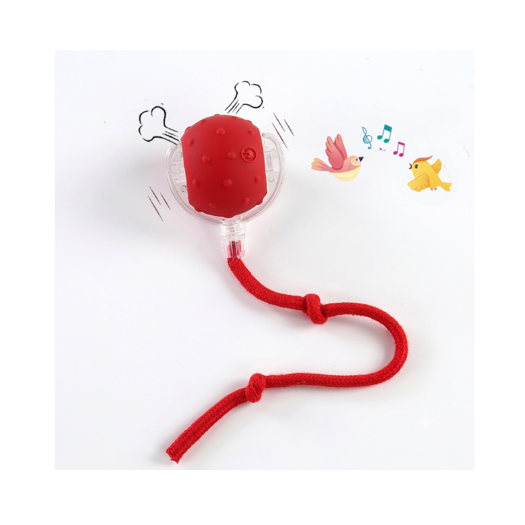 PupRoll - Keeps Your Dog Entertained & Active For Hours