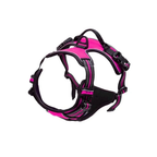 Dog Collars Harness
