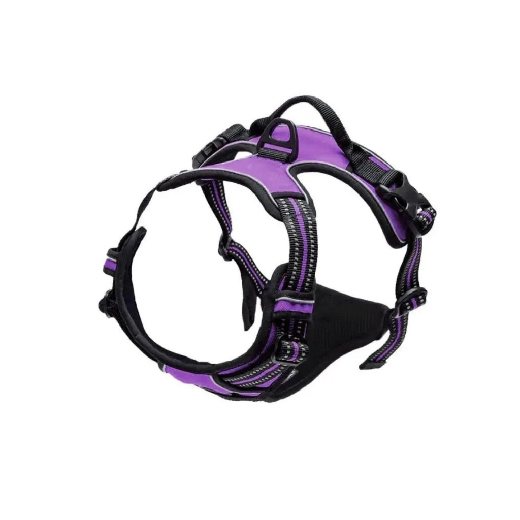 Dog Collars Harness