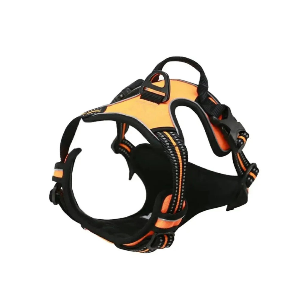 Dog Collars Harness