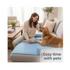 Cooling Dog Bed