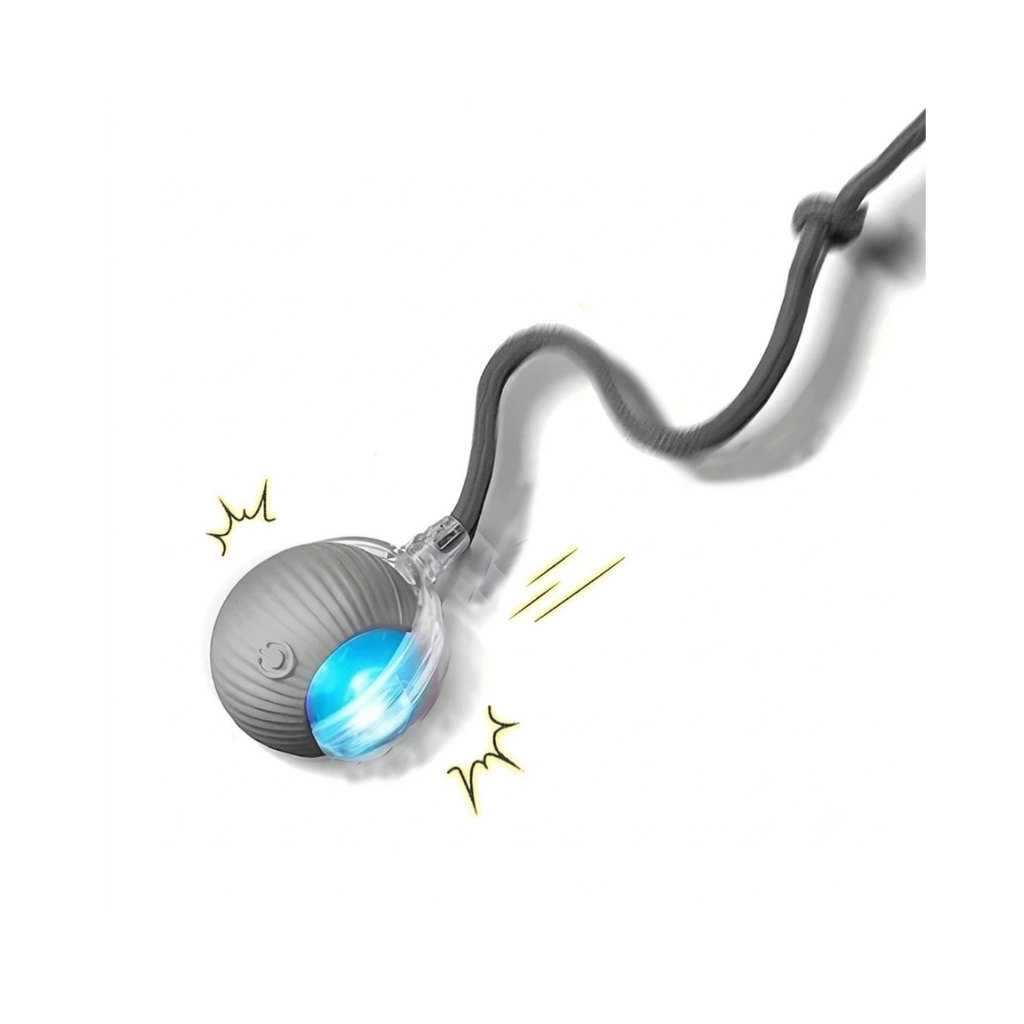 PupRoll - Keeps Your Dog Entertained & Active For Hours