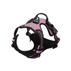 Dog Collars Harness