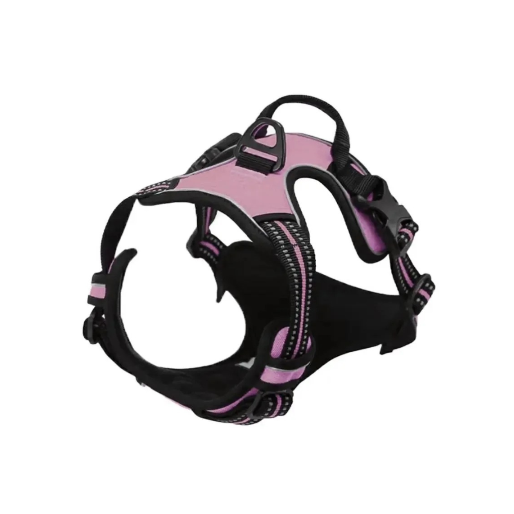 Dog Collars Harness
