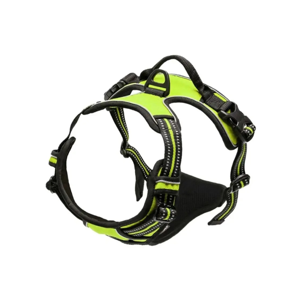 Dog Collars Harness
