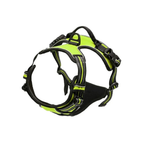 Dog Collars Harness