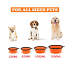 Collapsible Dog Travel Bowl