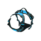 Dog Collars Harness