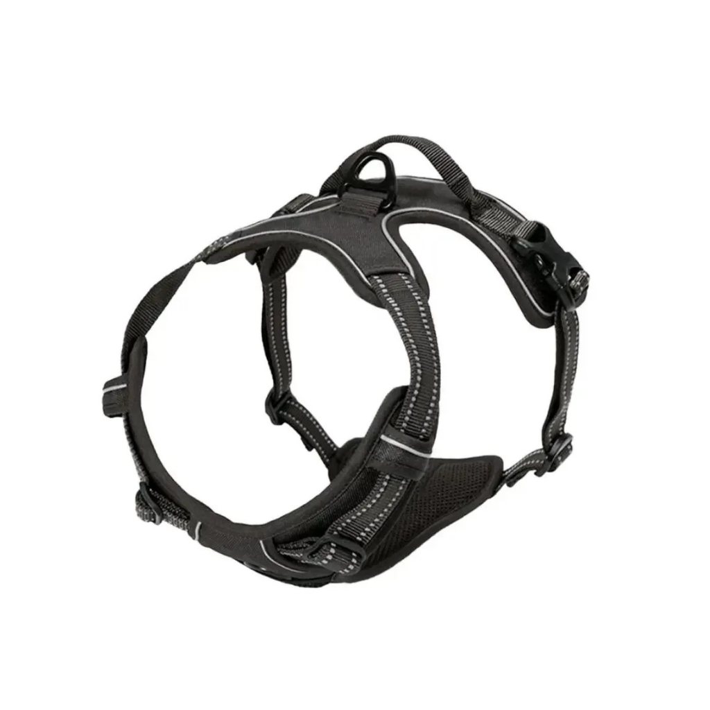 Dog Collars Harness