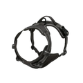 Dog Collars Harness