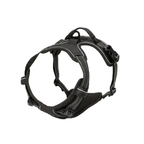 Dog Collars Harness