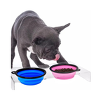 Collapsible Dog Travel Bowl