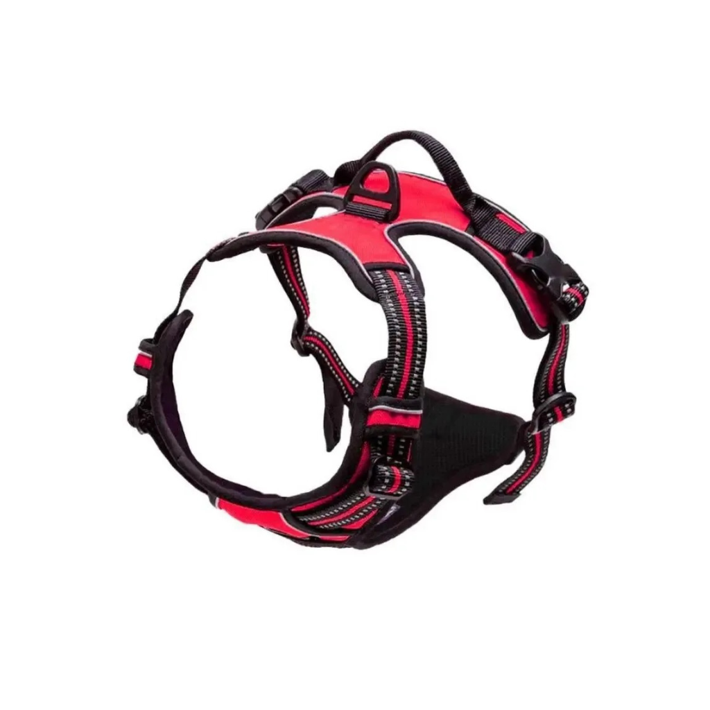 Dog Collars Harness