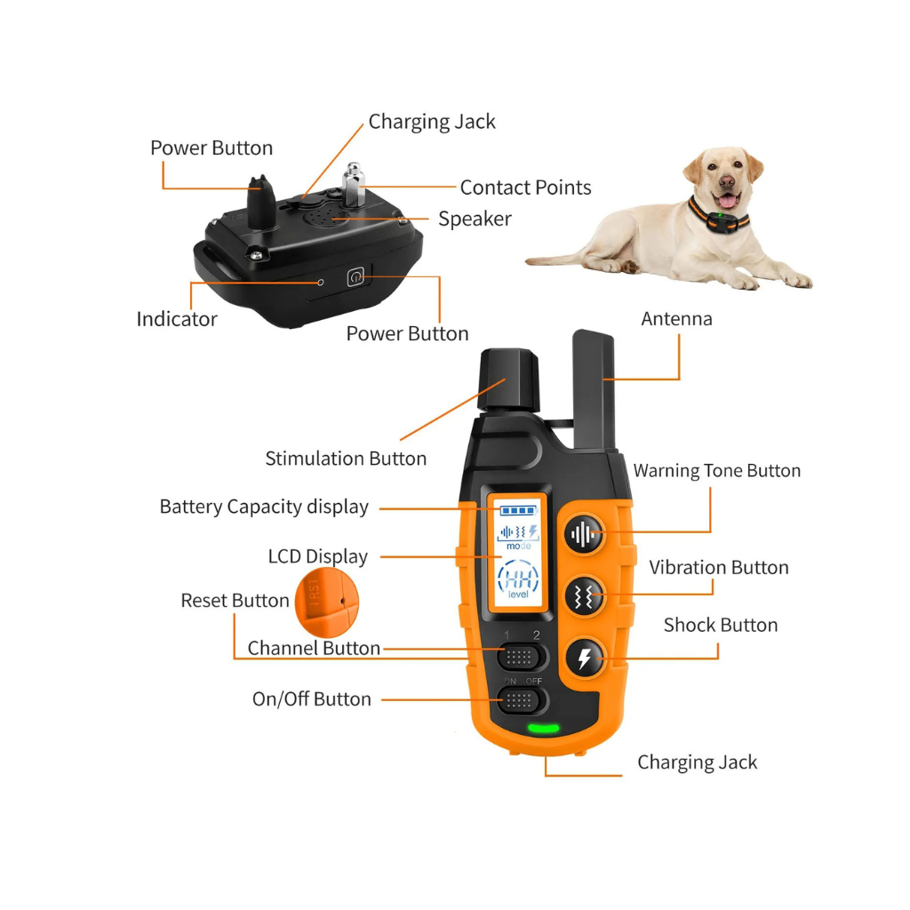 Electric Dog Training Collar