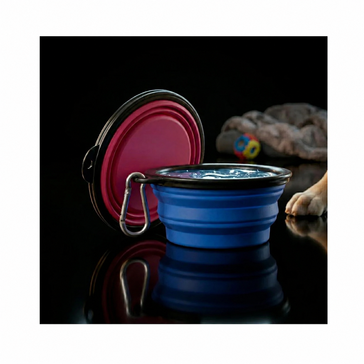 Collapsible Dog Travel Bowl