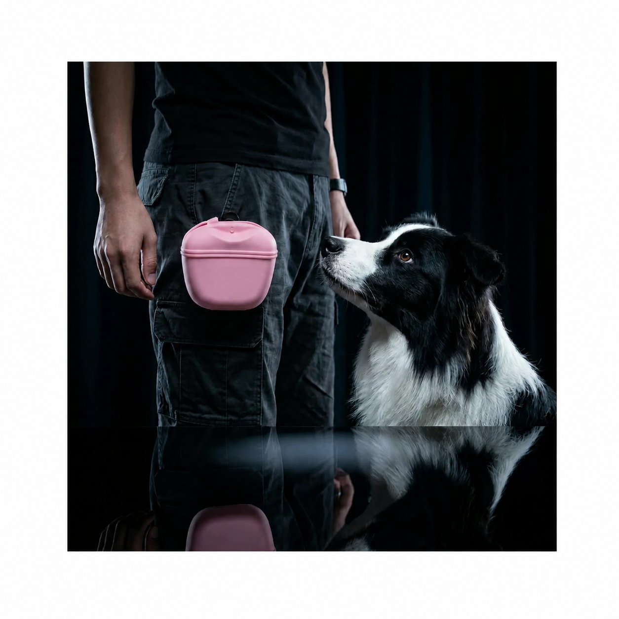 Dog Treat Pouch