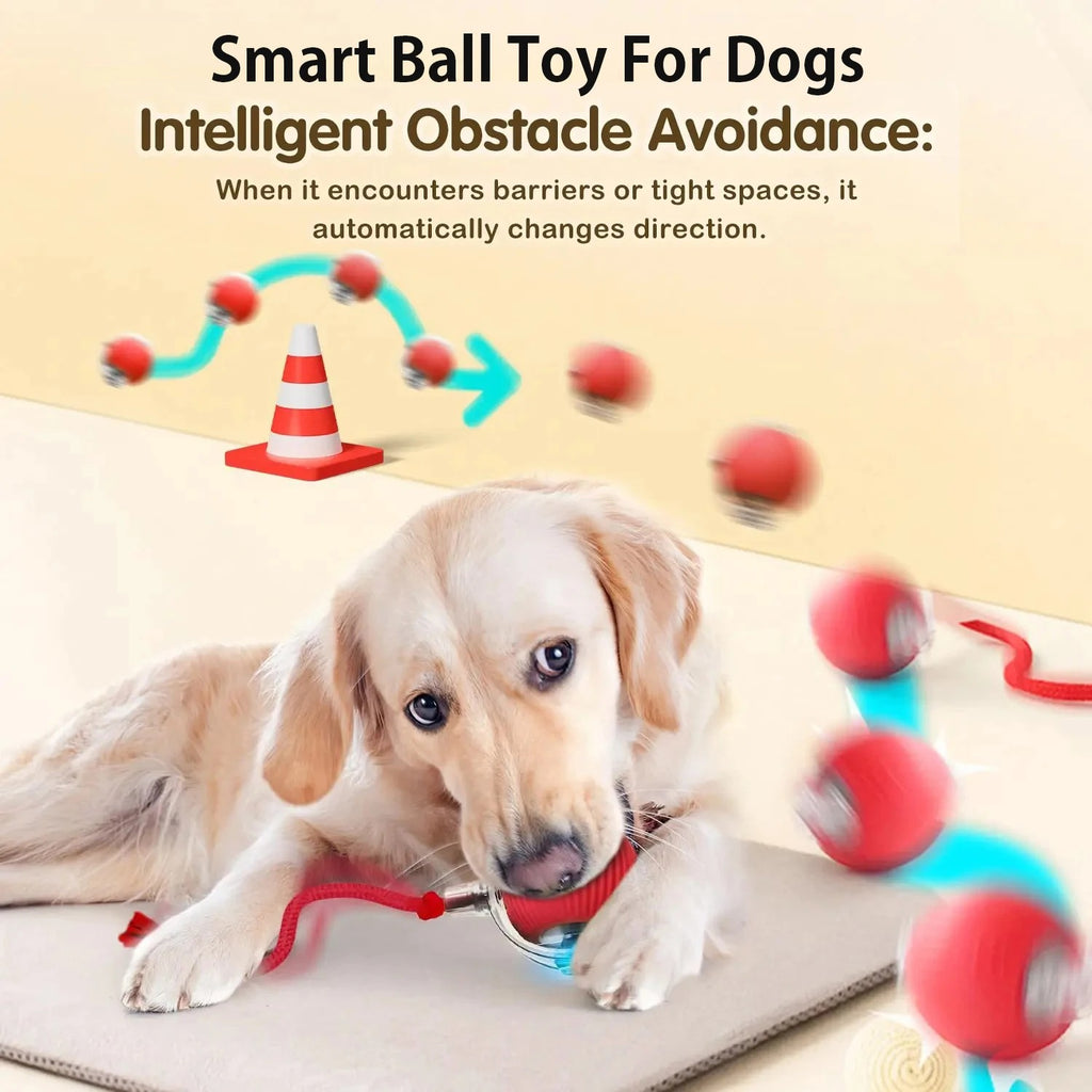 PupRoll - Keeps Your Dog Entertained & Active For Hours