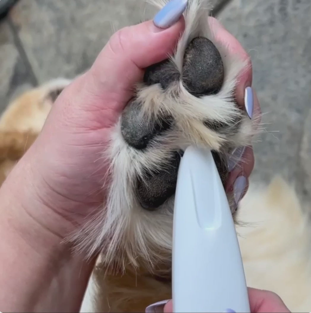Pet Paw Trimmer