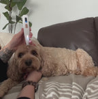 Pet Paw Trimmer